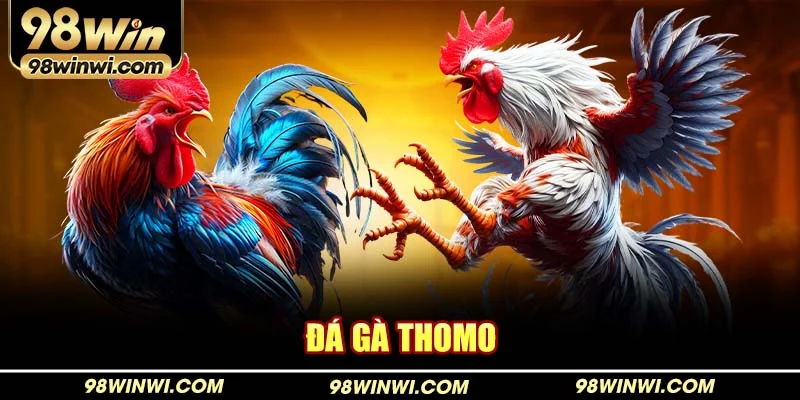 Đá gà thomo